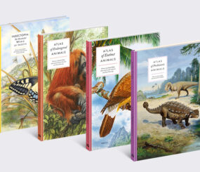 Large Encyclopedias