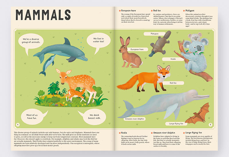 Albatros BooksEncyclopedia of Animals: for Young Readers - Albatros Books