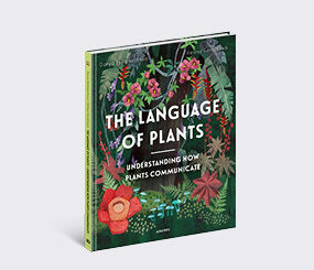 The Language of Plants