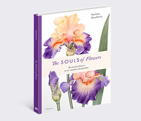 The Souls of Flowers