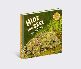 Hide and Seek in Nature: Guess What It Is