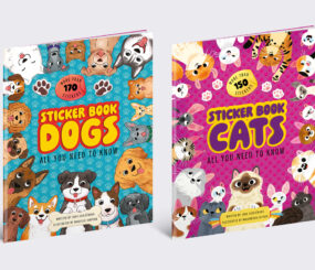 All You Need To Know