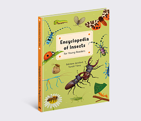 Encyclopedia of Insects for Young Readers